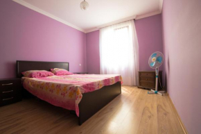 Гостиница Angisa Apartment  Батуми